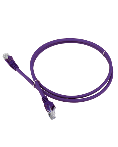 Патч-корд LANMASTER LSZH UTP кат.5e, 0.3 м, фиолетовый LANMASTER LAN-PC45/U5E-0.3-VI в Омске Патчкорды (медные) Pintop.ru
